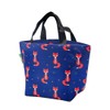 ECO CHIC Lightweight Foldable Insulated Lunch Bag Water Resistant Cooler