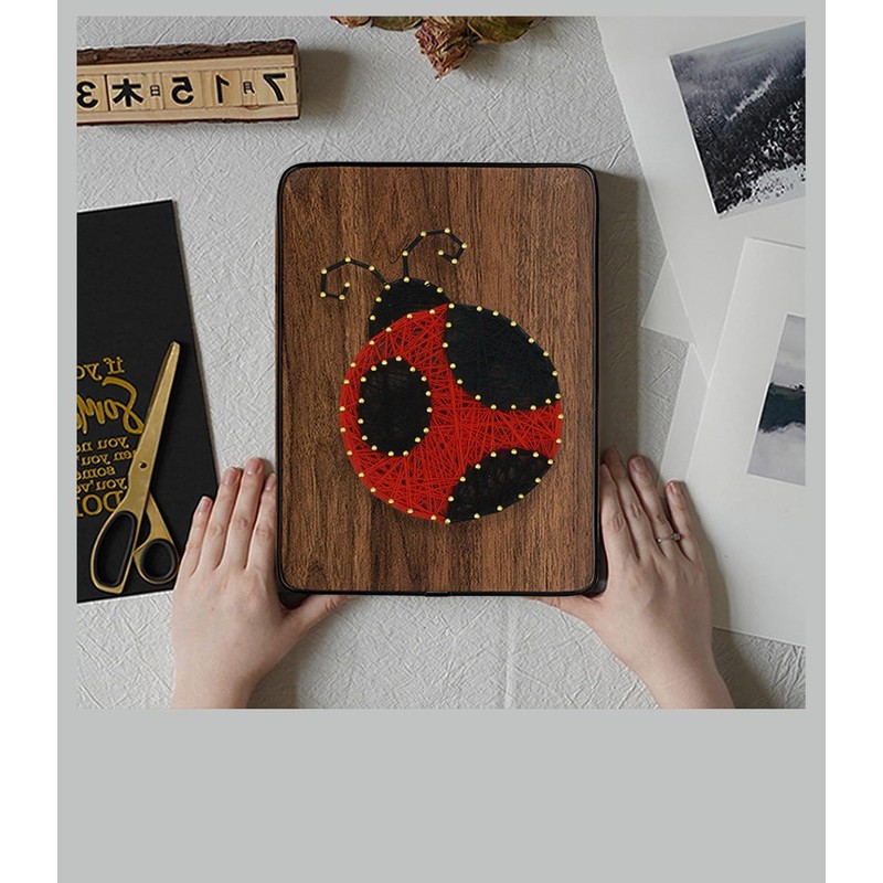 BAZIMA DIY String Art Kit for Beginner, DIY Ladybug Craft
