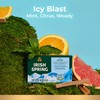 Irish Spring Irish Spring Icy Blast Bar Soap for Men,