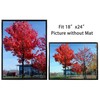 18x24 Picture Frame Black Set of 2, Display Posters 18x24
