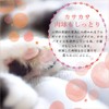 Macadamiya Paw Cream 1.1 oz (30 g) (Contains Argan Oil),