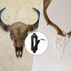 4 Pcs European Mount Skull Hanger Deer Skull Hooks Mount