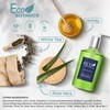 Terra Pure | Eco Botanics Shampoo, White Tea & Honey