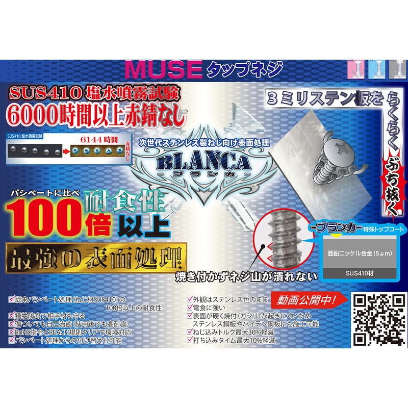 MUSE Tap Screws, Stainless Steel Blanker, 0.1 x 1.2 inches