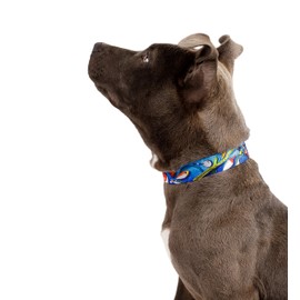 Country Brook Petz 1/2 Inch Adjustable Gone Fishin' Dog Collar for Small, Medium, Large Breeds - Sports and Camouflage Collection Featuring Spirited Designs (Fishing, 2XS)