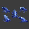 5 Blue Poison Dart Frog Decals - Sizes shown on