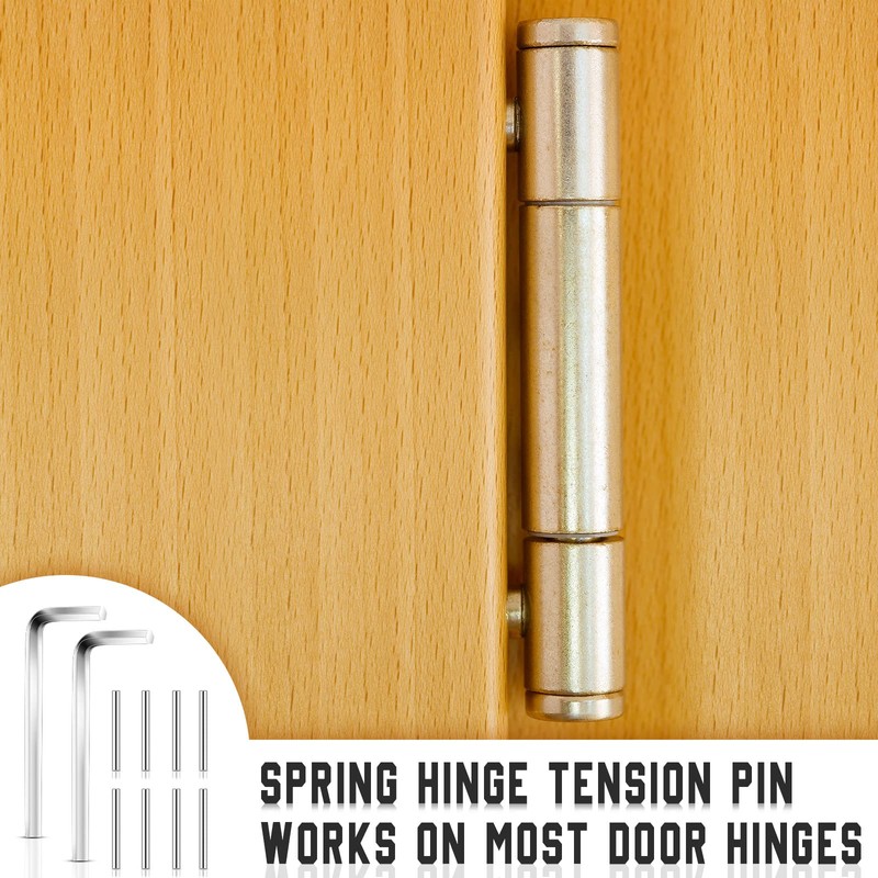 Zhehao Door Closing Hinge Pin Spring Loaded Spring Hinge Tension