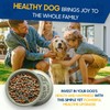 Premium Christmas Silicone Slow Feeder Dog Bowls for Healthy Eating