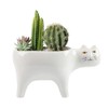 DIYOMR Cat Planter Animal Succulent Pots, Ceramic Cat Mini Flower