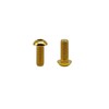 RISON Pack of 5 Titanium Rounded Head Screws with Hexagon