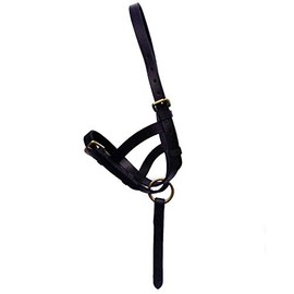 Y-H Leather Foal Slip - Black or Brown - Small, Medium, Large Size Excellent Value!