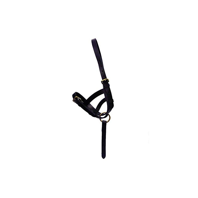Y-H Leather Foal Slip - Black or Brown - Small,