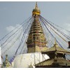 GURU SHOP Tibetan Prayer Flags 10 Flags 1.90 m Cotton