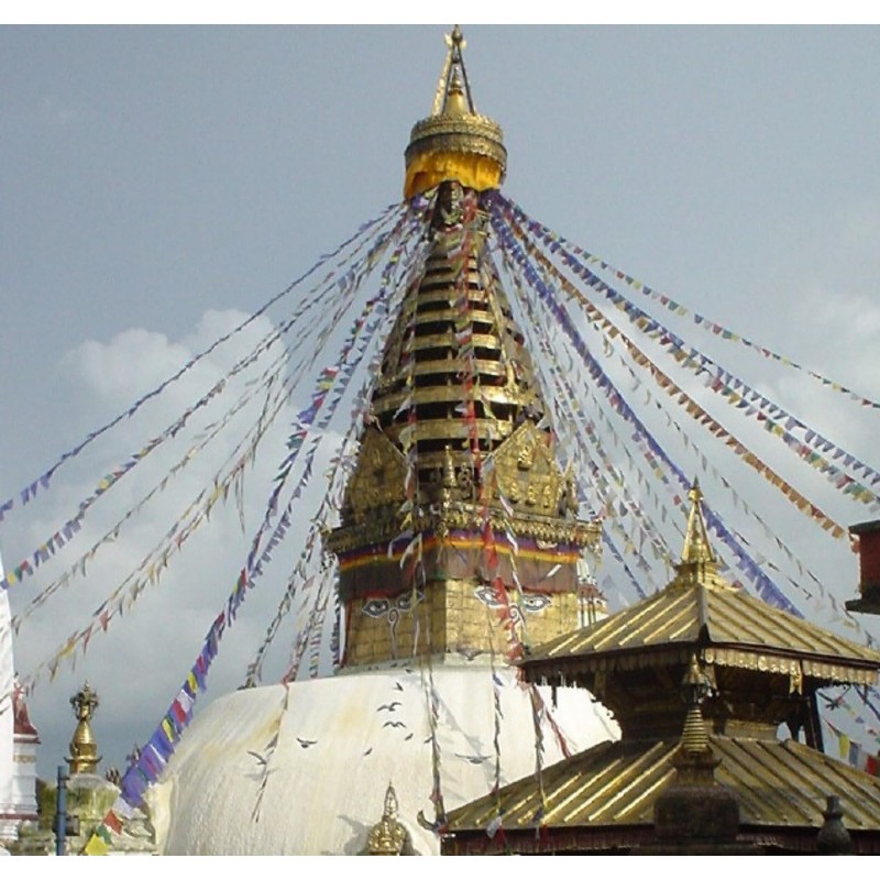GURU SHOP Tibetan Prayer Flags 10 Flags 1.90 m Cotton