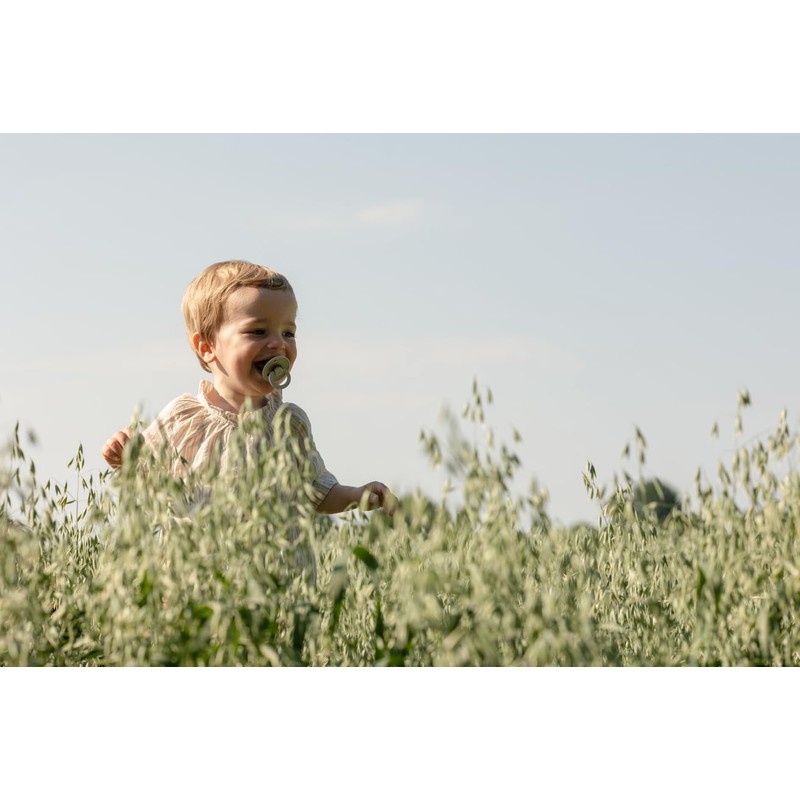 Bibs Dummies, 2-Pack of Colourful Dummies, Natural Rubber Danish Dummies