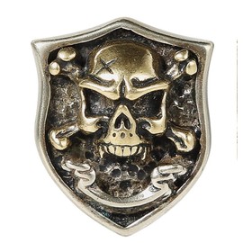 Brass Conchos Screw Back Leather Crafting Concho for Leather Skull Punk Biker Wallet Chain Connector 2 Pieces (Silver+Gold Skull)