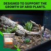 The Bio Dude Terra Sahara Bioactive Reptile Substrate 6 quarts