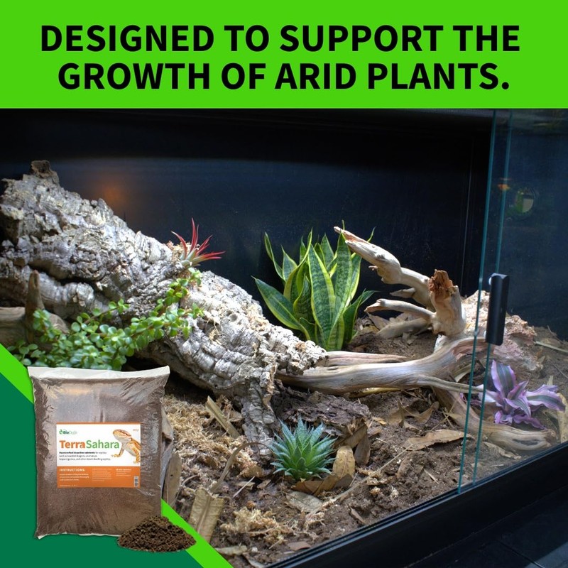 The Bio Dude Terra Sahara Bioactive Reptile Substrate 6 quarts