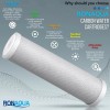 Ronaqua 4 pcs Big Blue CTO Carbon Block Water Filters