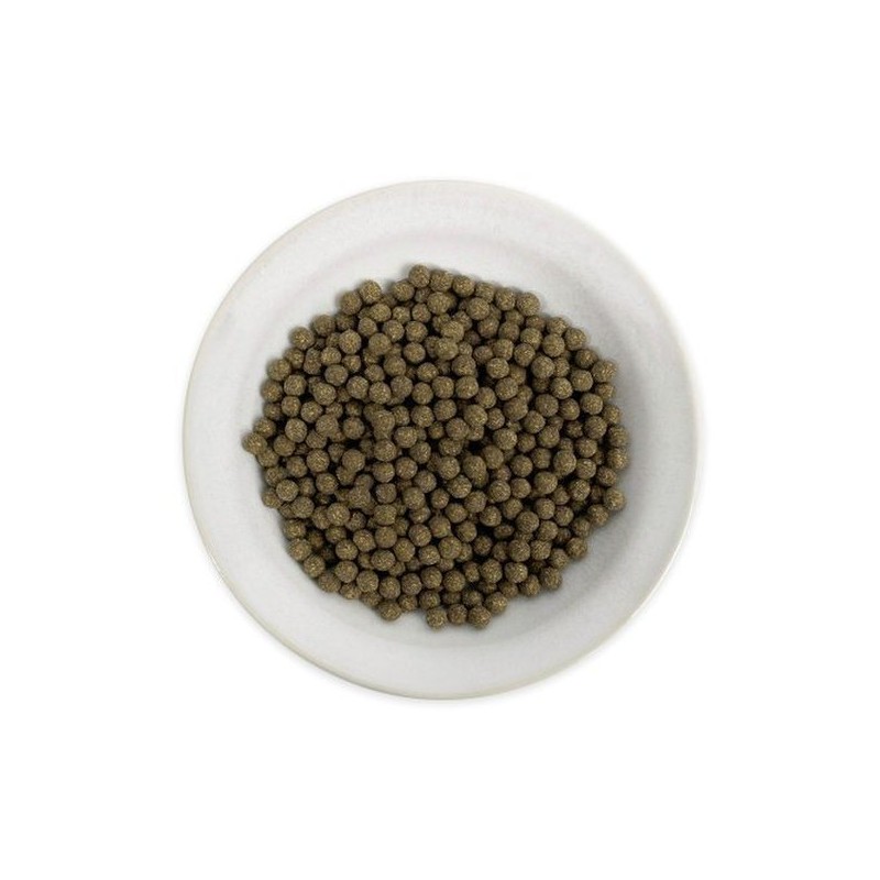 Chamgoods 국산 여주환 200g 5통 Korean Bitter Melon Powder 200g