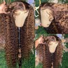 Aikebi Curly Human Hair Wig Omber T 27 Lace Frontal