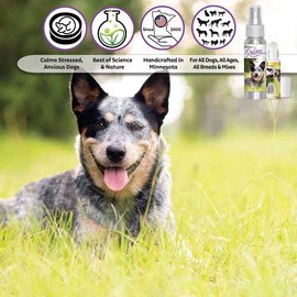 The Blissful Dog Relax Roll-On Aromatherapy for Dogs - Anxiety Relief for Dogs