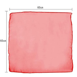 DFsucces Chiffon Silk Scarf, 10 Colors, Floating Scarf, Litomic, Dance, Play, Children, Scarf, Dance, Exercise, Juggling, 23.6 x 23.6 inches (60 x 60 cm), 10 sheets