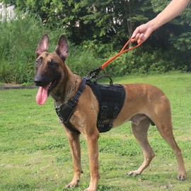 ICEFANG Short Dog Leash 18 Inch Reflective Nylon Traffic Leash with Padded Handle,Heavy Duty Auto Lock Swivel Clip for Medium Large Dogs No Pull Training Walking (Orange, 18 Inch)