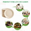 Vplus 500 Pack Paper Plates 9 inch 100% Compostable, Heavy-Duty