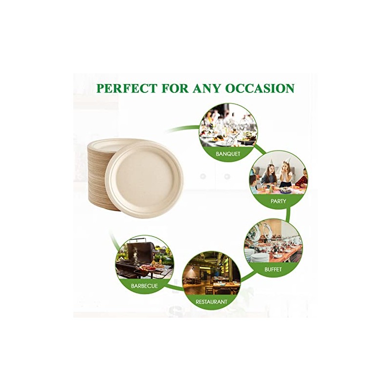 Vplus 500 Pack Paper Plates 9 inch 100% Compostable, Heavy-Duty