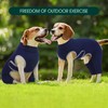 Kuoser Dog Surgery Recovery Suit, Professional Dog Surgical Suit for