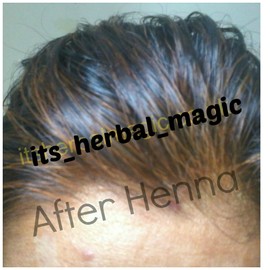 Herbal Magic Pure & Natural USDA Organic Henna Powder (1 x 100g) + Indigo Power (1 x 100g) Chemical Free Hair Coloring, Natural Hair Mask Dye