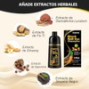 Shampoo para Canas 3 en 1, Champú Colorante para Teñir