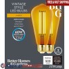Unbranded Dimmable LED ST19 Bulbs 5.5W 60W Equivalent 2 Pack