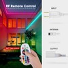 Shine Decor Controller with Remote, Power Supply for 10mm W