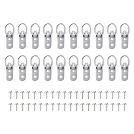 Hsthe Sea 20 Pieces D-Ring Picture Frame Hooks for Heavy Photo Frames Picture Frame Set with Two Holes and Screws