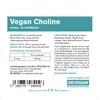 DR.VEGAN Choline, 600mg | 60 x 300mg Vegan-Friendly Capsules |