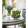 Holm Guard 4343800 Flower Bowl Diameter 7.5 inches (19 cm)