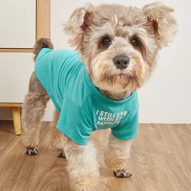 Cute Dog Clothes,Dog T Shirt for Medium Dogs.Dog Clothes for Small Dogs Girl Boy,Puppy.Breathable Soft Dog Costume Pet Dogs Cats,Pet Pullover Jumper,Cat Clothes (L-(10~17lb), Chest~18", Aqua)