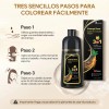Shampoo Tinte Cubre Canas Ginseng Color Natural Hombremujer