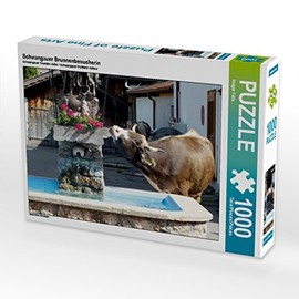 CALVENDO Schwangauer Fountain Visitor Puzzle, 1000 Pieces, Landscape Puzzle, 1000 Pieces, Laying Size 64 x 48 cm, Photo Puzzle for Happy Hours