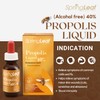 Spring Leaf Propolis Liquid 40% 25ml Alcohol Free - Relieve