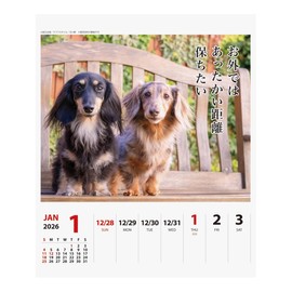 2026 Calendar Ducks Senryu (Weekly Turning)