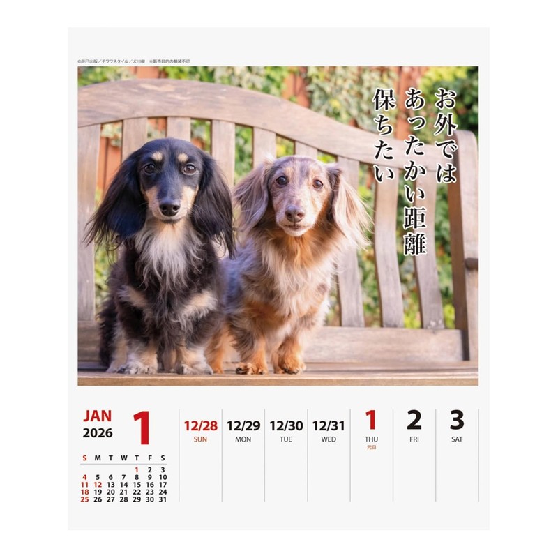 2026 Calendar Ducks Senryu (Weekly Turning)
