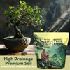 The Soil Sage 5qts/5l Premium Bonsai Mix - U.S.A. Made