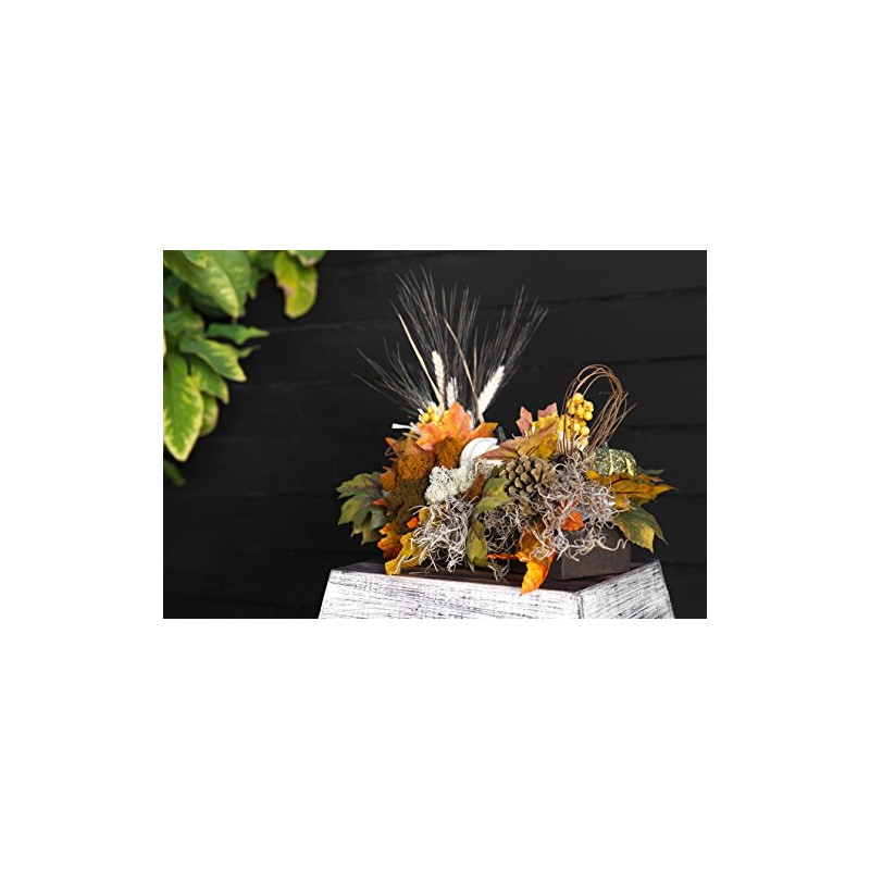 SuperMoss (26911 Spanish Moss Dried, Natural, 8 Ounces (Pack of