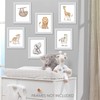 Lambs & Ivy Watercolor Safari Jungle Animals Unframed Nursery/Child Wall