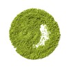DAVIDsTEA Organic Matcha Matsu