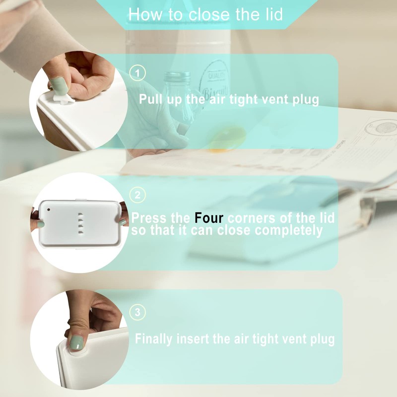 Original Bento Box Lunch Boxes Container Bundle Divider Japanese style