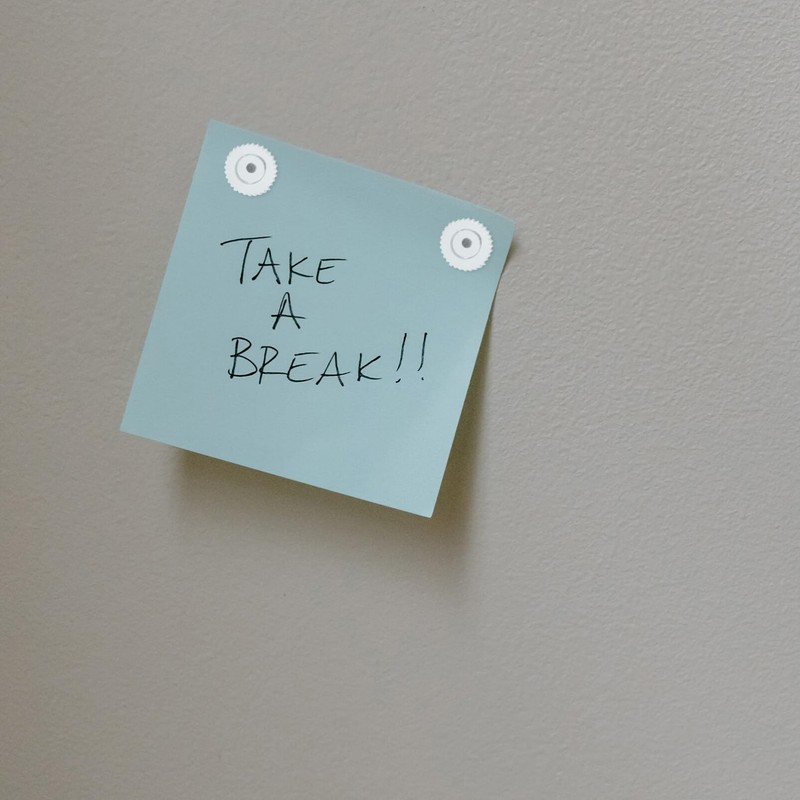 Operitacx 100pcs Cork Board Map Tack Message Board Tacks Cute